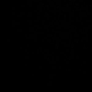 Meet your Posher, Evelyn